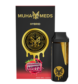 Exploring Muha Meds: A Taste of Excellence