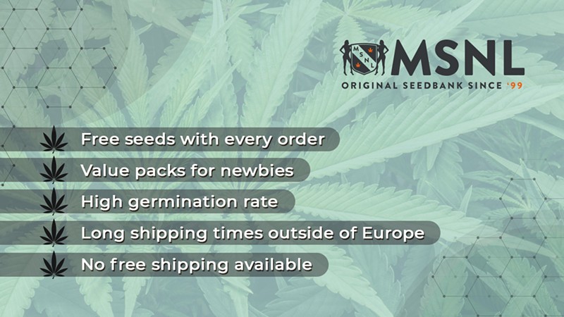 Where to Buy Marijuana Seeds for Sale (4)