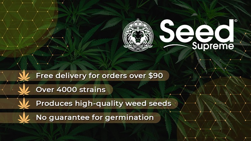 Where to Buy Marijuana Seeds for Sale (5)