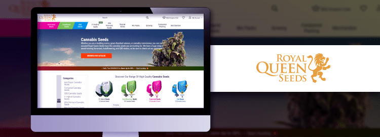 Best Seed Banks: Top 12 Reputable Cannabis Seeds Vendors