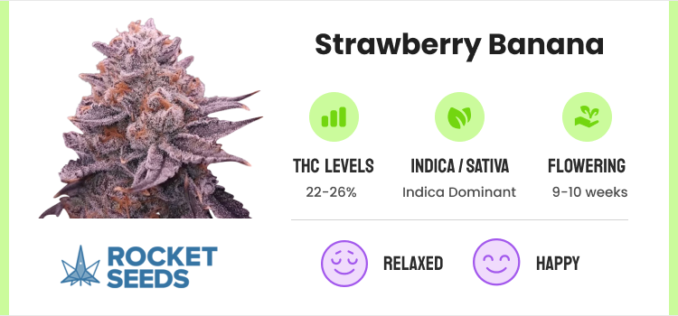 Strongest Weed Strains - 12 Highest THC Strains to Grow