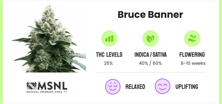 Strongest Weed Strains - 12 Highest THC Strains to Grow