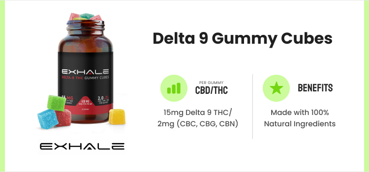 Best Delta 9 Gummies: Top 7 Quality THC Gummies