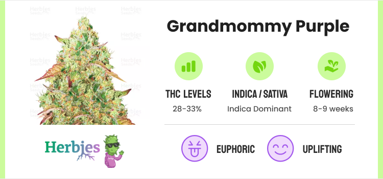 Best Weed Strains: Top 10 Cannabis Strains To Try (11)