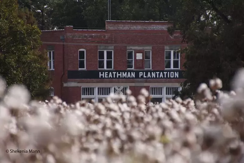 In one photo of a dense cotton field, a sign reading “Heathman Plantation” looms in the background, linking the not-so-distant past and present. - Shekenia Mann