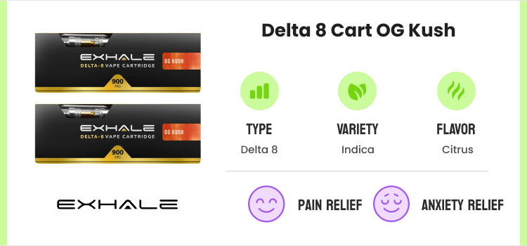 Best Delta 8 Carts: Top THC Cartridges & Brands To Try