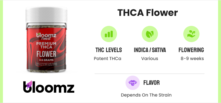 Best THCA Flower: 10 Strongest THCA Flower Strains