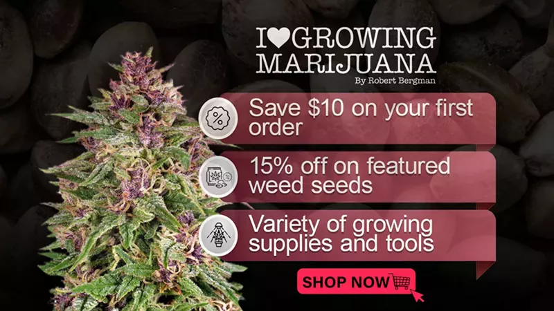 Bulk Cannabis Seeds: Best Sites for Quality Genetics and Deals