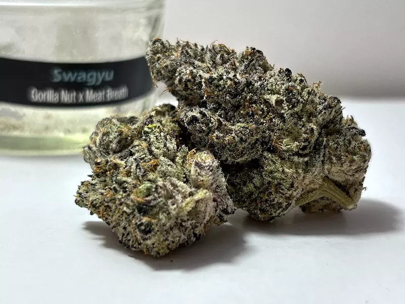 Wojo's Swagyu is a trichome-covered combination of Gorilla Nut and Meat Breath. - Steve Neavling