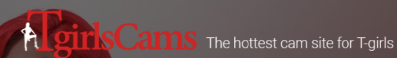 Best Trans Cams (Including Free TS Live Chat) in 2025
