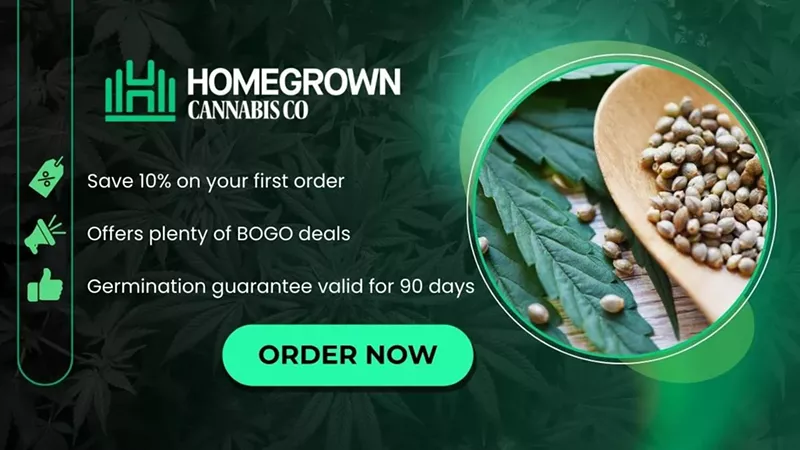 How To Germinate Cannabis Seeds: A Step-by-Step 2025 Guide