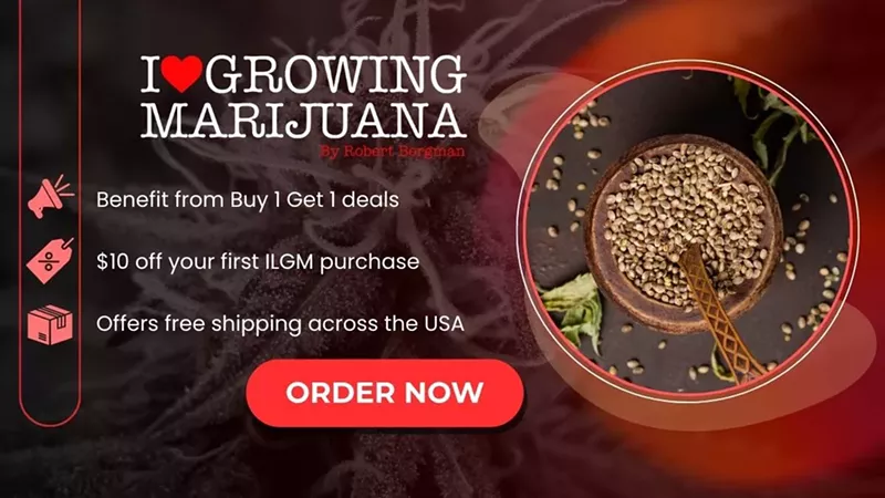 How To Germinate Cannabis Seeds: A Step-by-Step 2025 Guide