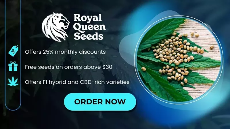 How To Germinate Cannabis Seeds: A Step-by-Step 2025 Guide
