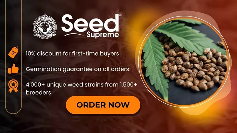 How To Germinate Cannabis Seeds: A Step-by-Step 2025 Guide