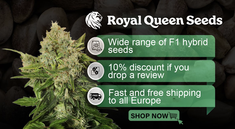 Bulk Cannabis Seeds: Best Sites for Quality Genetics and Deals
