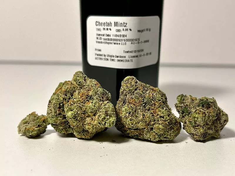 Cheetah Mintz by Utopia Farms. - Steve Neavling