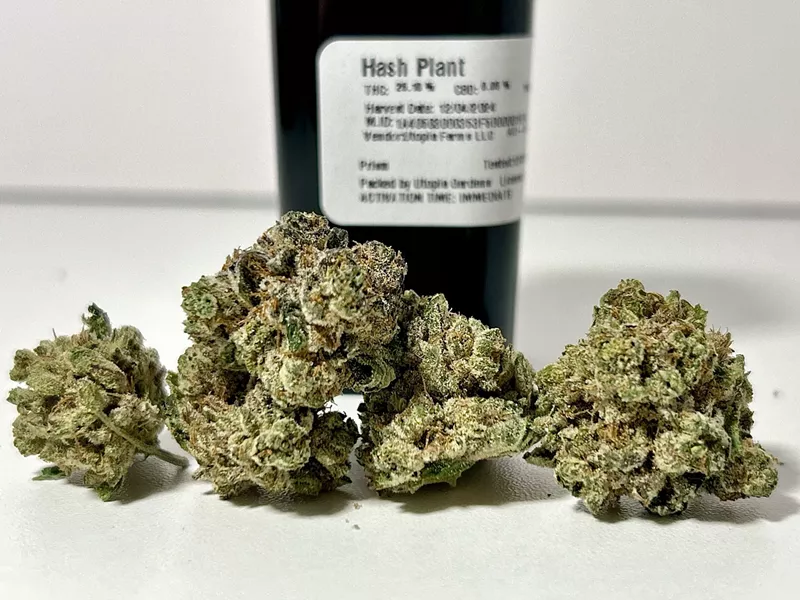 Hash Plant by Utopia Farms. - Steve Neavling