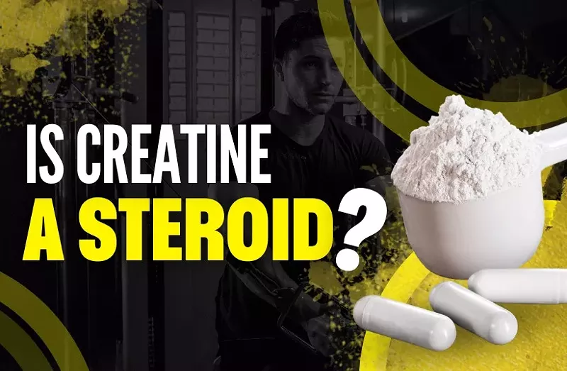 Is Creatine a Steroid? Definition, Benefits, Side Effects and More