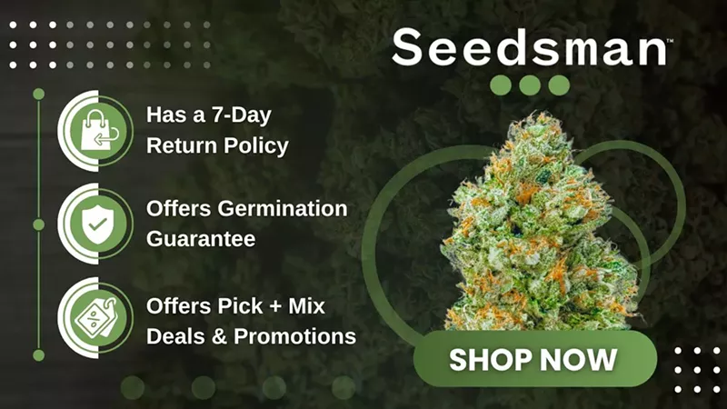 Godfather OG Seeds: Grow Guide, Effects & Where to Buy