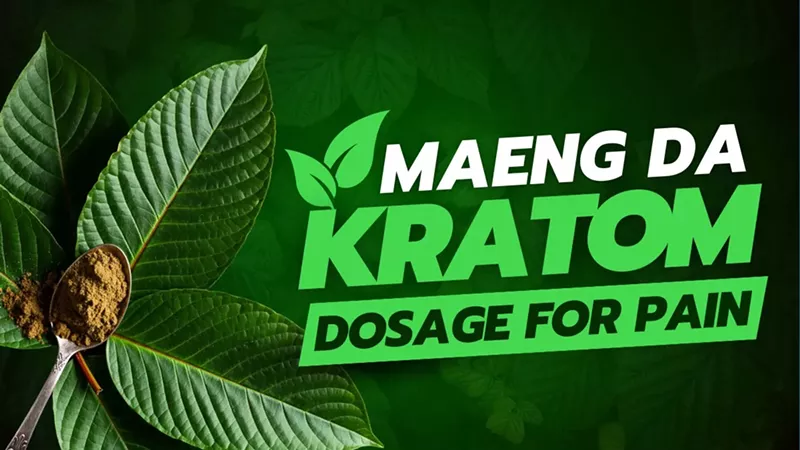 Maeng Da Kratom Dosage for Pain Guide: Benefits, Effects & the Best Vendors