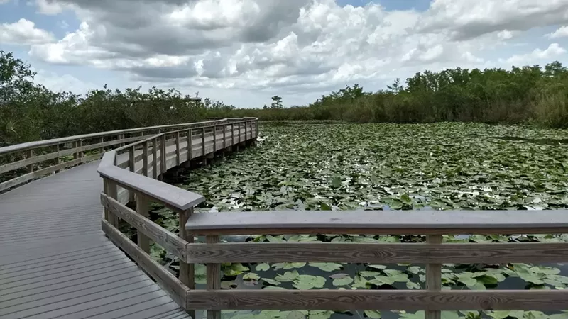 Visiting the Florida Everglades National Park – My Favorite Things to Do