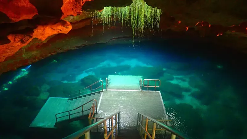 My Favorite Places for Snorkeling in Florida: A Deep Dive Into the Sunshine State’s Hidden Gems