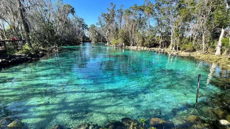 My Favorite Places for Snorkeling in Florida: A Deep Dive Into the Sunshine State’s Hidden Gems