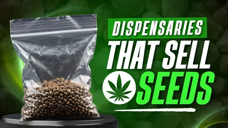 Dispensaries That Sell Seeds: 6 Seed Banks With Incredible Seed Varieties