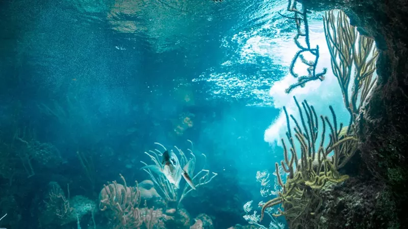 Key Largo Adventure – Sun, Snorkeling, and Surprises for All Ages
