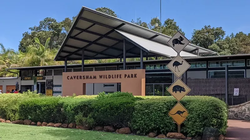 My Favorite Day Trips from Perth: Exploring the City’s Must-Visit Destinations