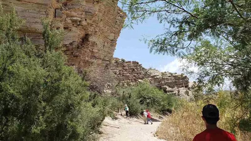 The Ultimate Texas Road Trip: Scenic Stops & Travel Tips