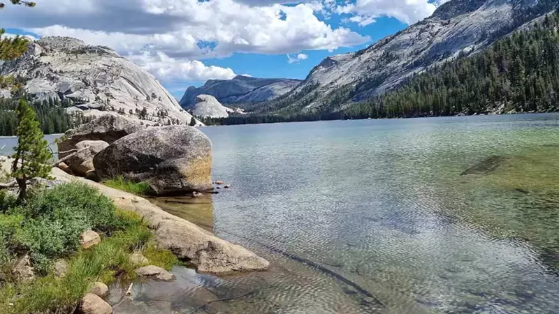 My Trip Through the National Parks in California: Exploring the Golden State