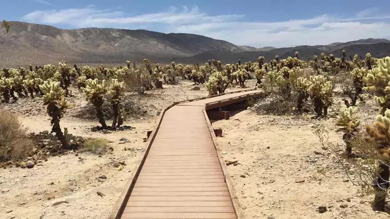 My Trip Through the National Parks in California: Exploring the Golden State