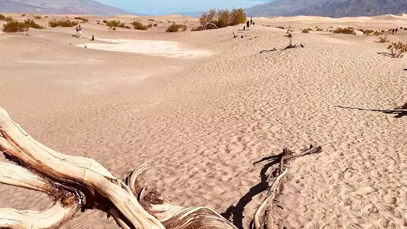 My Trip Through the National Parks in California: Exploring the Golden State