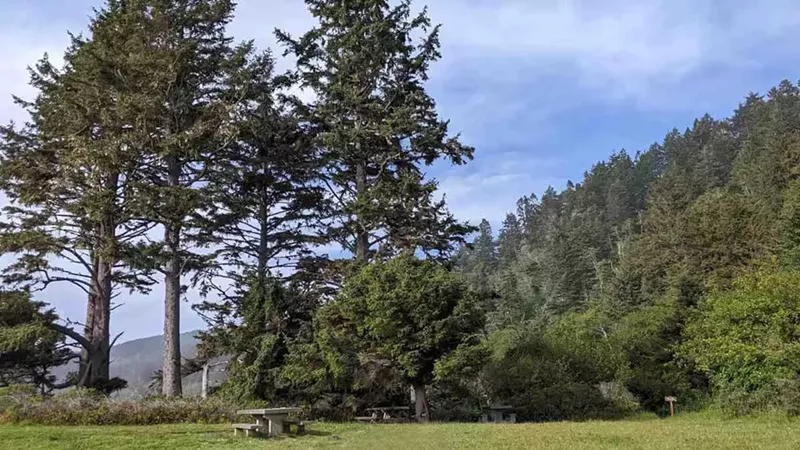 My Trip Through the National Parks in California: Exploring the Golden State