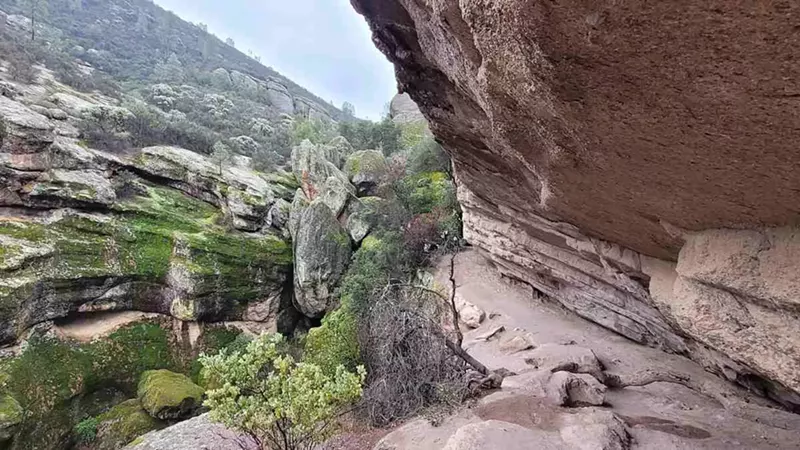 My Trip Through the National Parks in California: Exploring the Golden State
