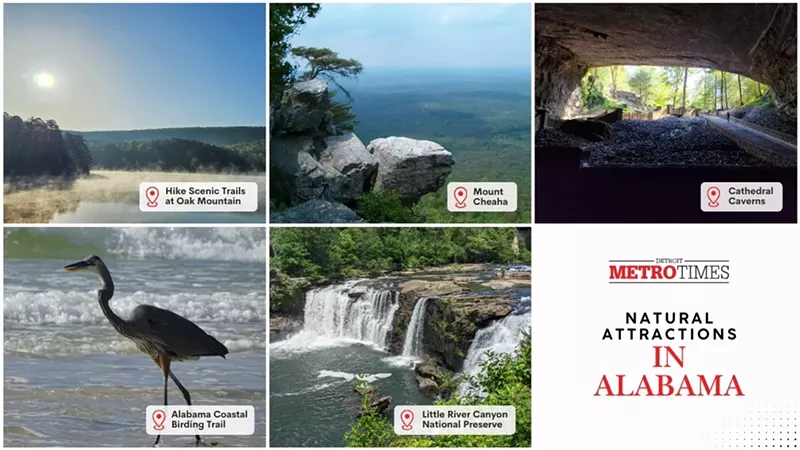 Things to Do in Alabama, the Thrilling Yellowhammer State