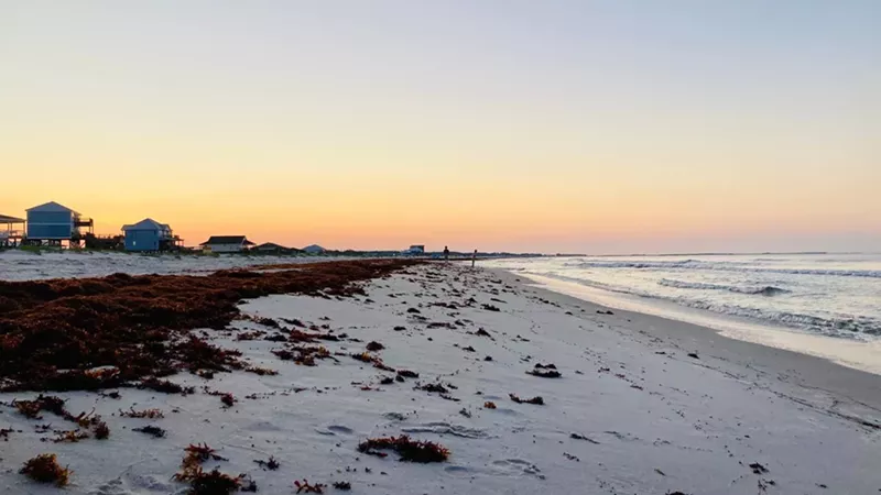 The Top Things to Experience on Quiet Dauphin Island in Alabama