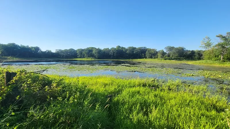 Campgrounds in Minnesota: From Backpacking to Cabins