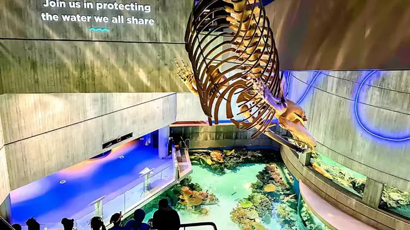 Top 10 Places to Visit in Maryland: A Local Guide to the Best Spots