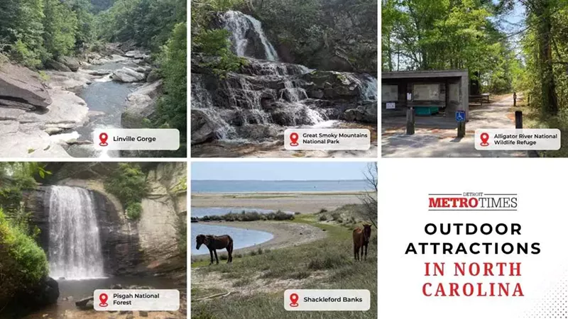 What to Do in North Carolina: Outdoor Fun, Culture, and Hidden Gems