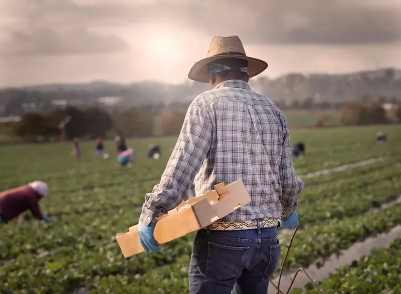 Guatemalan farmers alleged a Michigan labor contractor, Purpose Point Harvesting, engaged in human trafficking. - Shutterstock