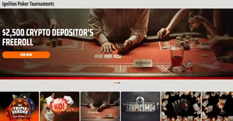 Top Crypto Gambling Sites in 2025, Ranked by Locals