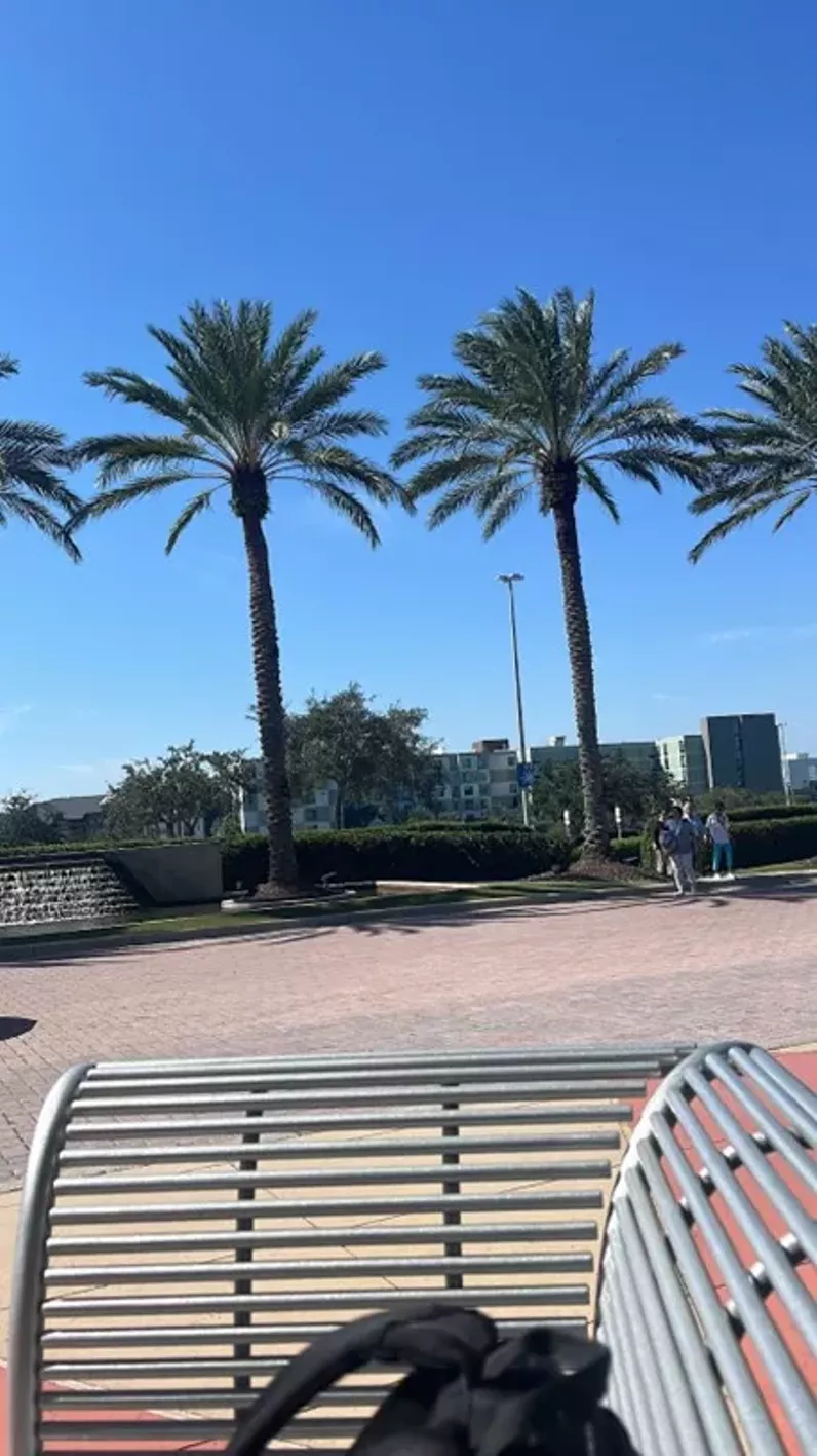 Florida Sports Betting Sites 2025 - Top FL Online Sportsbooks (Update)