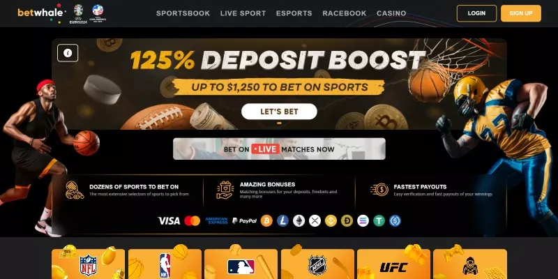 Florida Sports Betting Sites 2025 - Top FL Online Sportsbooks (Update)