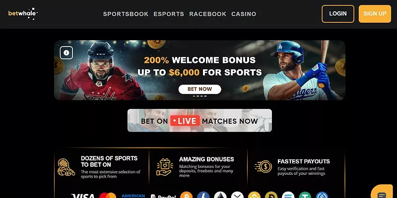 New York Sports Betting Sites - Nathalie Reviews the Top NY Online Sportsbooks