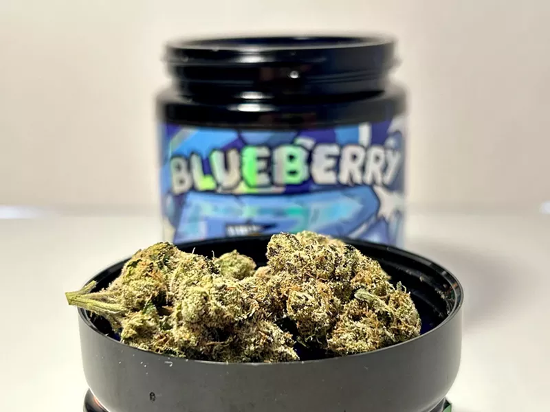 Exotic Matter's Blueberry Z is a cross of DJ Short Blueberry and Zkittlez. - Steve Neavling