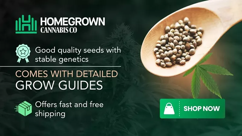 Best Seed Banks in 2025: Cannabis Breeders to Buy Cannabis Seeds Online
