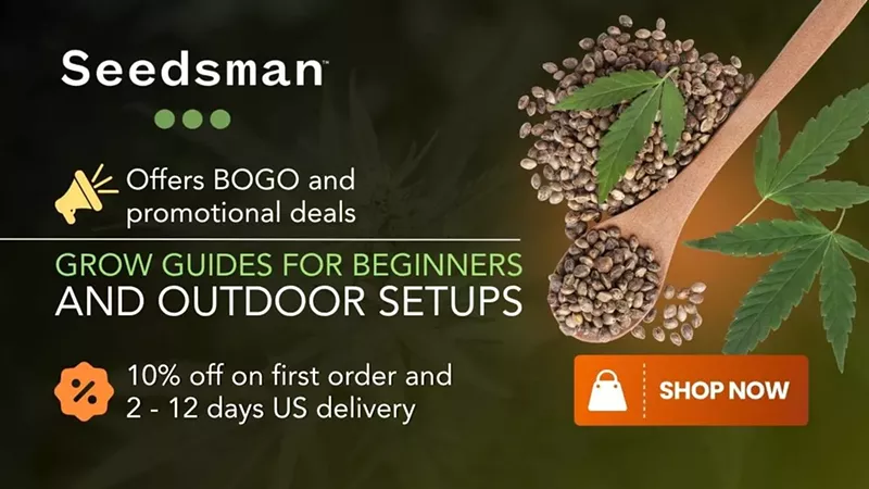 Best Seed Banks in 2025: Cannabis Breeders to Buy Cannabis Seeds Online