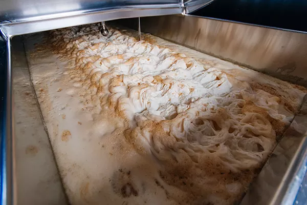 Yeast at Urbanrest. - Rational Gaze Photography